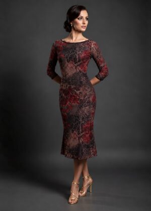 Raquel Printed Mesh Milonga Dress